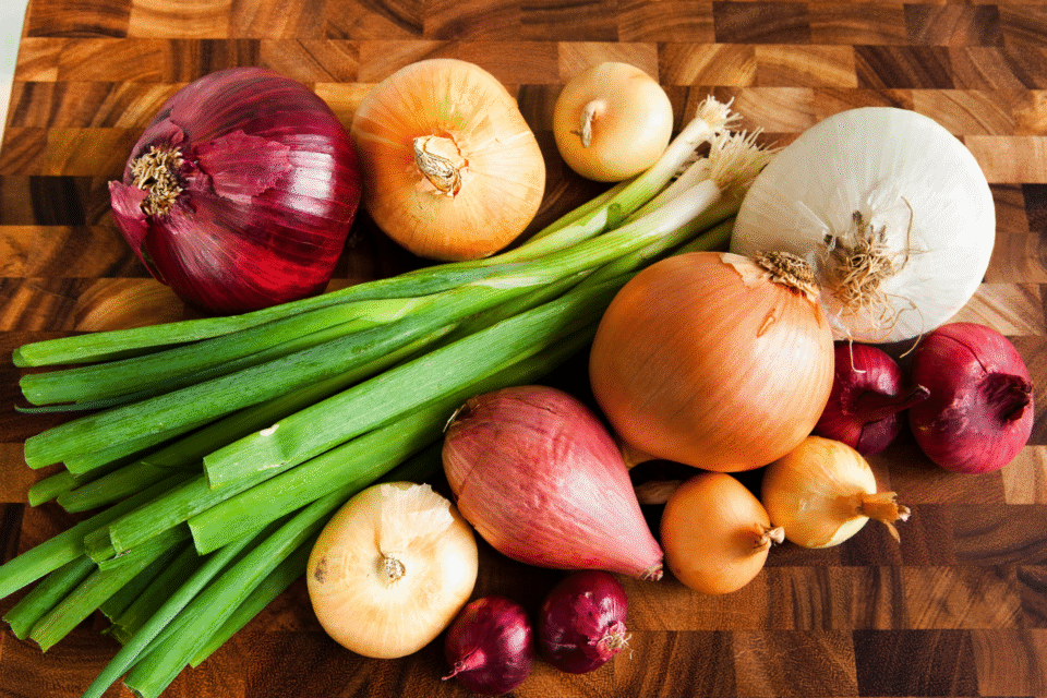 Különböző hagymák: lilahagyma, vöröshagyma, salottahagyma, újhagyma