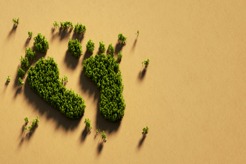 zöld láb lenyomatok