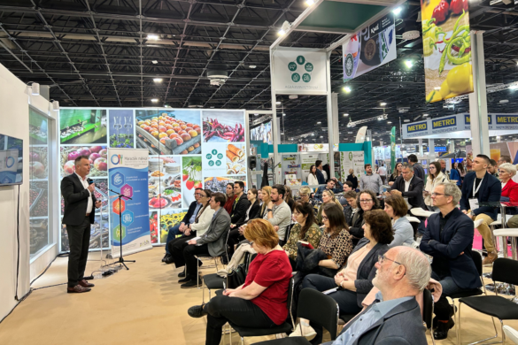 Dr András Tóth, the Director of the InDeRe Research Institute